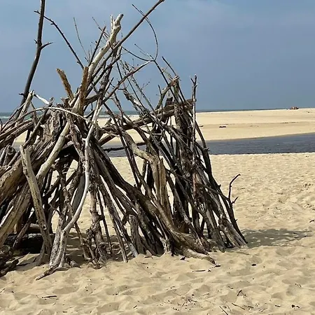 Alaïa Neuve Avec Piscine, Pétanque Proche Et Golf Villa Moliets-et-Maa